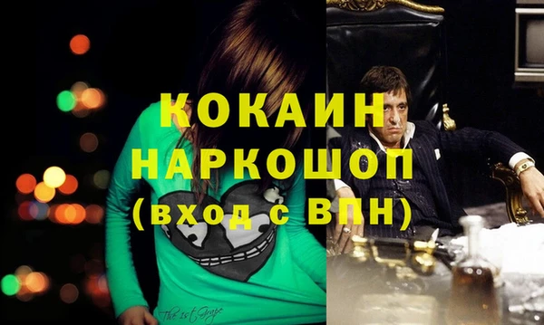 кокс Богородицк