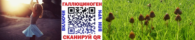 Галлюциногенные грибы мухоморы  ОМГ ОМГ ТОР  Красноярск 