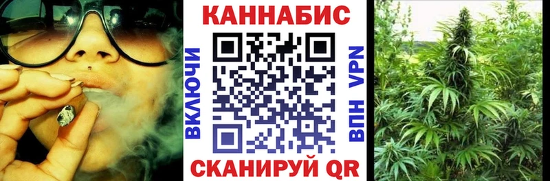 Канабис OG Kush  сколько стоит  Красноярск 